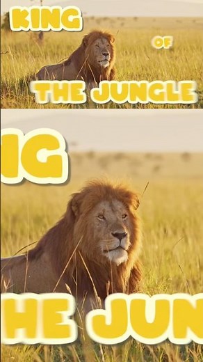 Do Lions Live in the Jungle? 🦁 Animal Facts for Kids