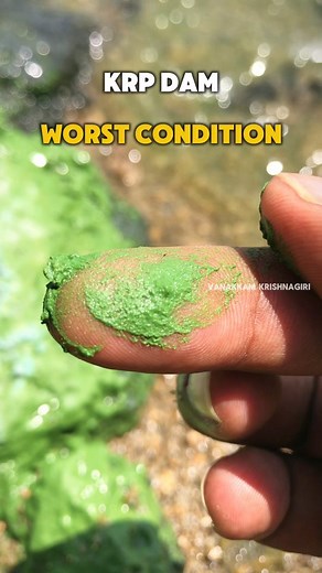 1M views · 14K reactions | K. R. P dam current situation...