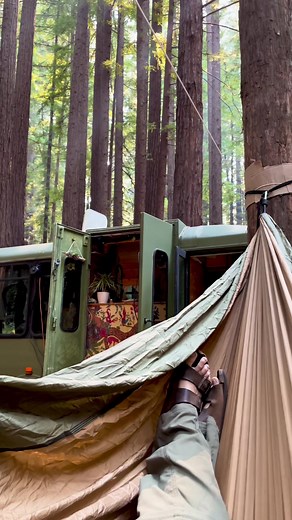 wandering in the woods 🌲🚍🌲 #buslife #vanlife #fulltimerv #lifeontheroad #tinyhouse #homeonwheels #campervan #buslifestyle #rvlife #busconversion #offgridliving #california #cali #norcal #redwoods #pnw #fyp