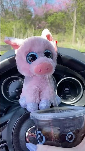 The Great Beanie Boo Snack Caper! #pigbeanieboo #beanieboofun