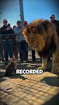 Alex from Madagascar isn’t just old… he’s ancient.