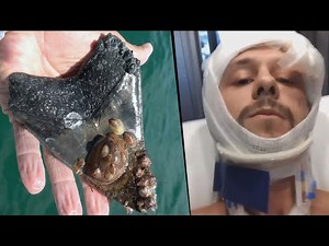 Attack Survivor comes away with Monster Megalodon Tooth