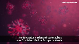 9.9K views · 61 reactions | Here’s what we know now about delta plus. DETAILS >> at.wftv.com/3fE9LSh | WFTV Channel 9 | Facebook