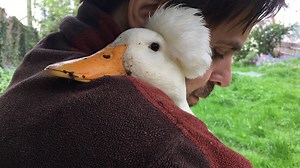 Aww, olive juice too | Try Not to Laugh