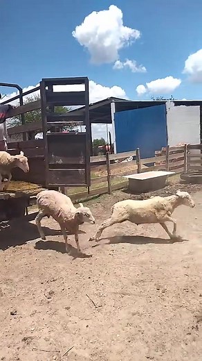 Claudio Rodriguez on Reels