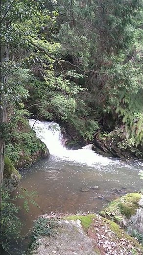 Third waterfalls of Ryu-Gin Canyon in Mizunami-City, Gifu #竜吟峡 #竜吟滝三の滝 #瑞浪市 #岐阜県 #healingfalls