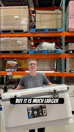 These Might Be the Best Coolers at Costco Right Now… 🧊