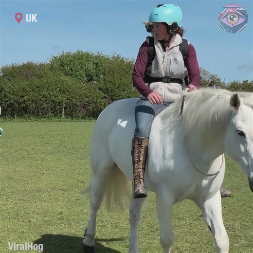 24K views · 41 reactions | If your party is not like that, I'm not coming﫠 | 7-Second Riddles | Facebook