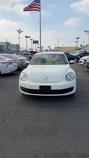Explore the Classic Volkswagen Beetle for Sale in Ontario