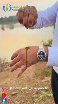 टंटणी (Tantani) वनस्पती — वेदना, सूज आणि स्नायूंच्या ताणावर निसर्गाचा प्रभावी उपाय! 🌿✨