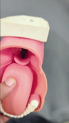 POV: Inside the Human Airway — Emergency Intubation Explained 🫁✨|#medicine#satisfying #science#yt