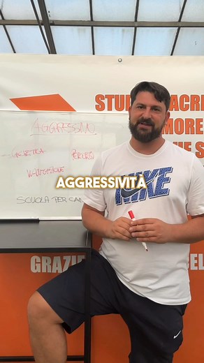 ECCO PERCHÉ IL TUO CANE È AGGRESSIVO! | Scuolapercani