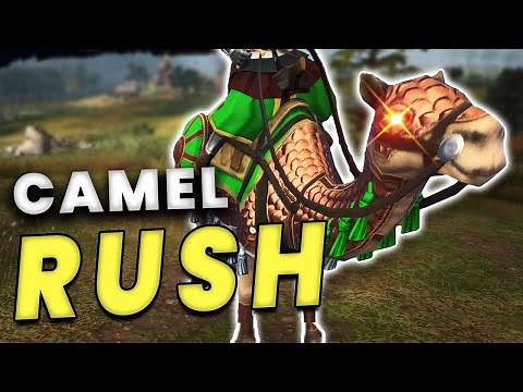 The Best AYYUBID Build to End Games FAST (Win in 15 mins or less, Full Guide)