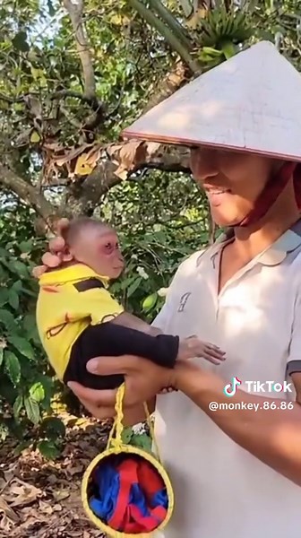 #monkey8686 #monkey #pet