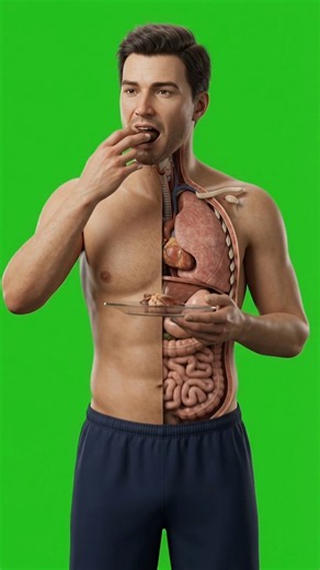 ❤️ What Happens to Your Body When You Eat Beef Heart? 😱🧬