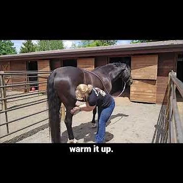Learn how to safely massage a reactive horse's tight muscles.