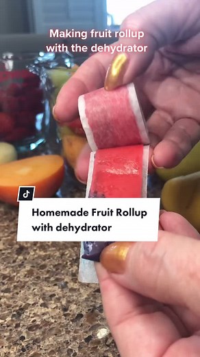 Homemade Fruit Rollup with Dehydrator