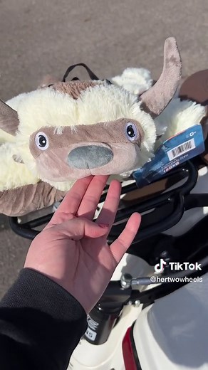 APA Pillow Unboxing and Twinning with Appa Bike!