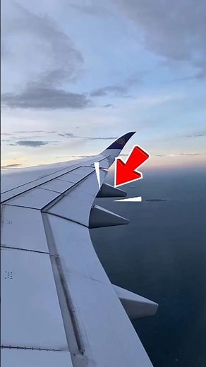 Why Do These Parts of the Airplane Wing Extend Downward?