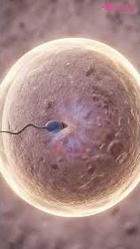 Why Can Fertilization Fail Even With ICSI? 🔬🧬 | IVF Failure Explained (3D) #shorts #ivf