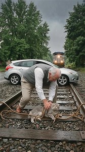 5.1M views · 53K reactions | Elderly Hero Saves Cat From Oncoming Train! #drama #rescue #hero | Vu Studios | Facebook