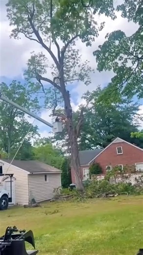 Gunung semeru meletus lagi pada sore hari ini rabu tanggal 19-11-2025 pukul - 1600 wib#gunungsemerul ‎