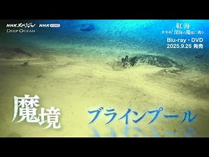 NHKスペシャル ディープオーシャン 紅海 世界初！深海の魔境に挑む PR動画