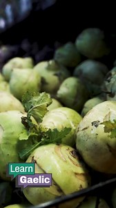 snèap – neep Snèap no tuinneap, dè chanas tusa? Neep or turnip, what do you say? | LearnGaelic