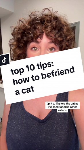 Ways To Get A Cat To Like You: Top 10 Tips Revealed!