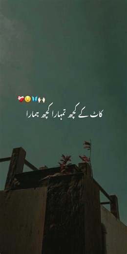 Muhabbat ❤️‍🩹 - black screen status - black screen poetry - black screen status urdu - urdu shayari