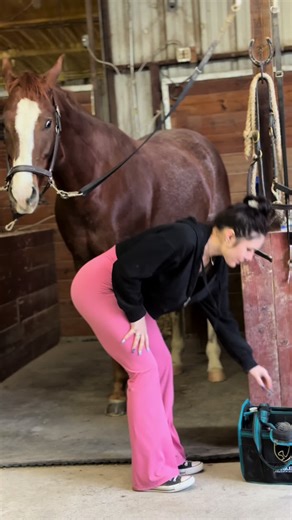 the sounds of the barn😇 | elk sound