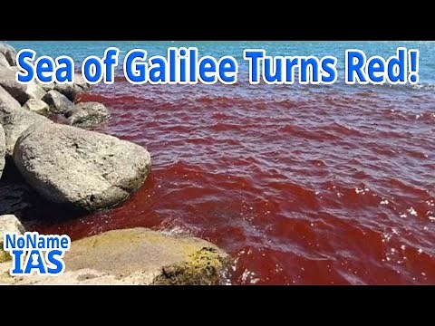 Why Did the Sea of Galilee Turn Red ? 🌊 Shocking Algae Bloom Explained | NoName IAS
