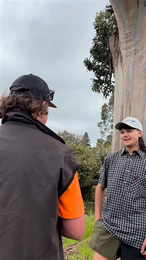 My ears are burning, Beaver trees hear what you need! - - - - #arblife #arborists #treecare #fishing #fyp #taupo #marketing | Beaver Tree Service