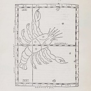 28K views · 145 reactions | Emotional, caring and loyal – people born...