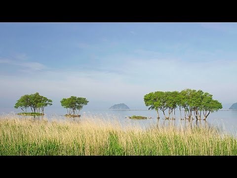 [ 4K Ultra HD ] 琵琶湖の湖畔風景 Landscape of Lake Biwa-ko (Shot on RED EPIC)