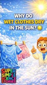 Why Do Wet Clothes Dry In The Sun? #supersimplesciencestories #kidslearning #scienceforkids #stories