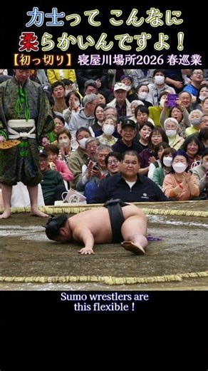 力士って こんなに 柔らかいんですよ❗『寝屋川場所2026 春巡業 大相撲』 SUMO