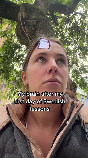 Chokladbollar Recipe: A Taste of Sweden