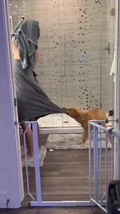 Biraha toy😆 #reelsfacebook #reelviralfb #reelstrending #reelschallenge #reelsfypシ #reelsvideo #reels #reelsvideoシ #fbreelsfypシ゚viralシ | Khel Vlogs