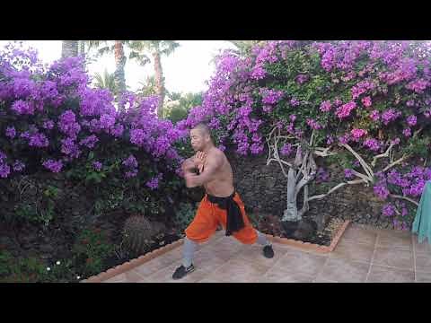 Shaolin Monk Traditional Power Workout