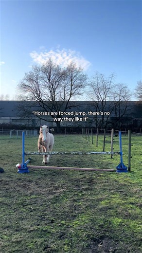 Are they? Dump your best jump photo in the comments! #horsejumping #horse #fy #equestrian