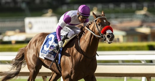 Slow Down Andy wins Race 8 on Saturday, September 30, 2023 at Santa Anita Park.