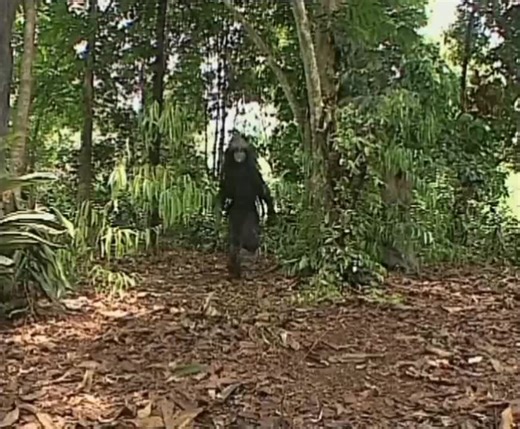 Film Kolosal Seputar Misteri Gunung Merapi