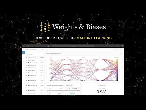 Weights and Biases Product Overview