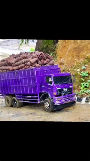 Raj Mini Bus Toy Review