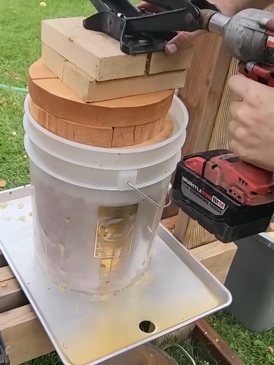 How Grape Juice is Squeezed from Grapes