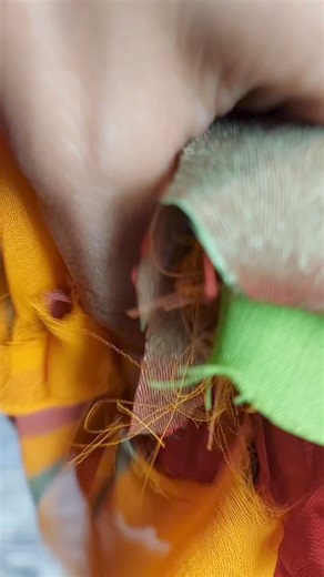 Rakhi with reused materials Peepal Farm Products Creating homemade rakhis using fabric scraps and recycled materials is a beautiful way to celebrate Raksha Bandhan with a touch of sustainability. These eco-friendly rakhis not only reduce waste but also carry a personal touch that store-bought ones can't match. Easy to make and costing almost nothing, these rakhis are a wonderful project for kids and adults alike. By repurposing materials you already have at home, you contribute to the environmen