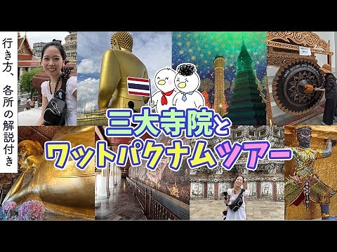 【🇹🇭タイ旅行vlog #1】歴史と文化を感じるバンコク観光！三大寺院＆映え寺院巡り｜解説付き｜ Thailand｜Bangkok｜travel