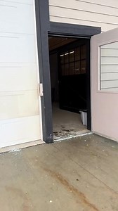 3K views · 77 reactions | I will give you a BIG hint. It’s not a full sibling to Taz and it’s also NOT VS Code Red. #pregnant #foal2025 #Ember #Appaloosa | Annie | Facebook