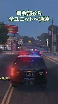 【アメリカ警察】強盗犯を捕まえ...＜GTA V LSPDFR＞【ゆっくり実況】
